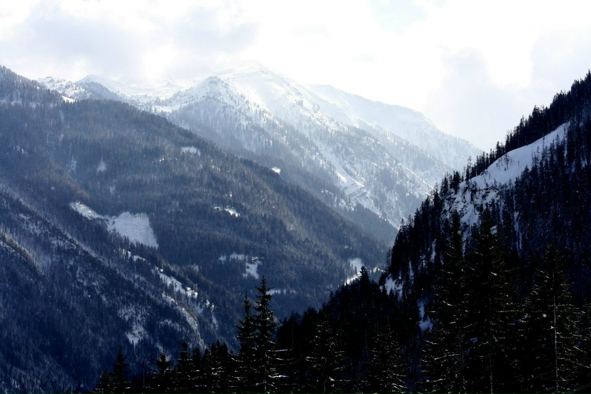 Наталия Ридель | Zittau