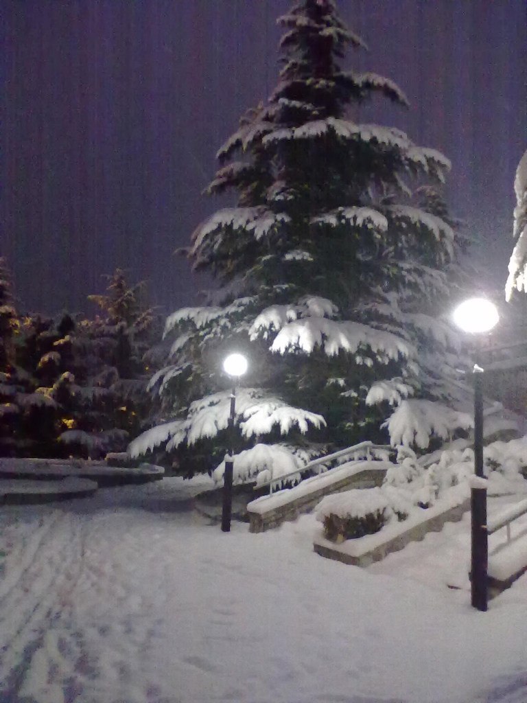 Сергей Мевший | Кривой Рог