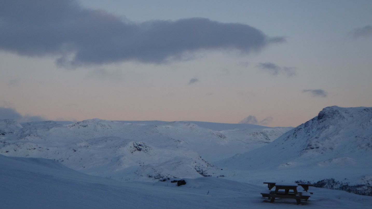 Ксения Фокша | Тверь
