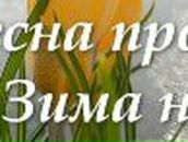 Никита Громов °*”˜√ιק.°*”˜ | Санкт-Петербург