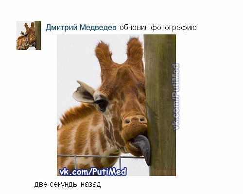 Павел Семенов | Москва