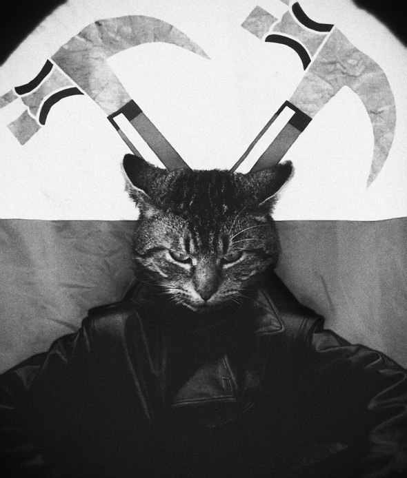 Александр Братусь Сергеевич | Курахово