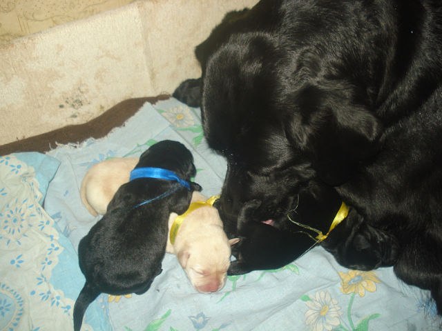 Анастасия Польская | Москва