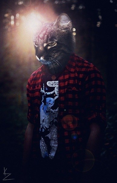 Никита Хвостиков | Волгоград