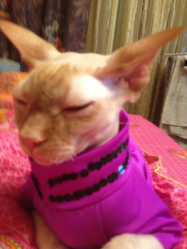 Андрей Стальмаков | Москва