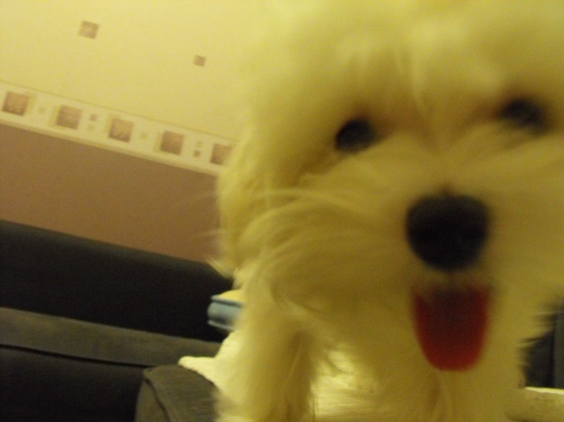 Станислав Шикаленко | 