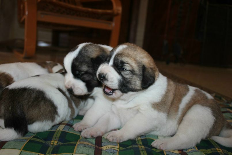 Яна Хамардюк | Хмельницкий