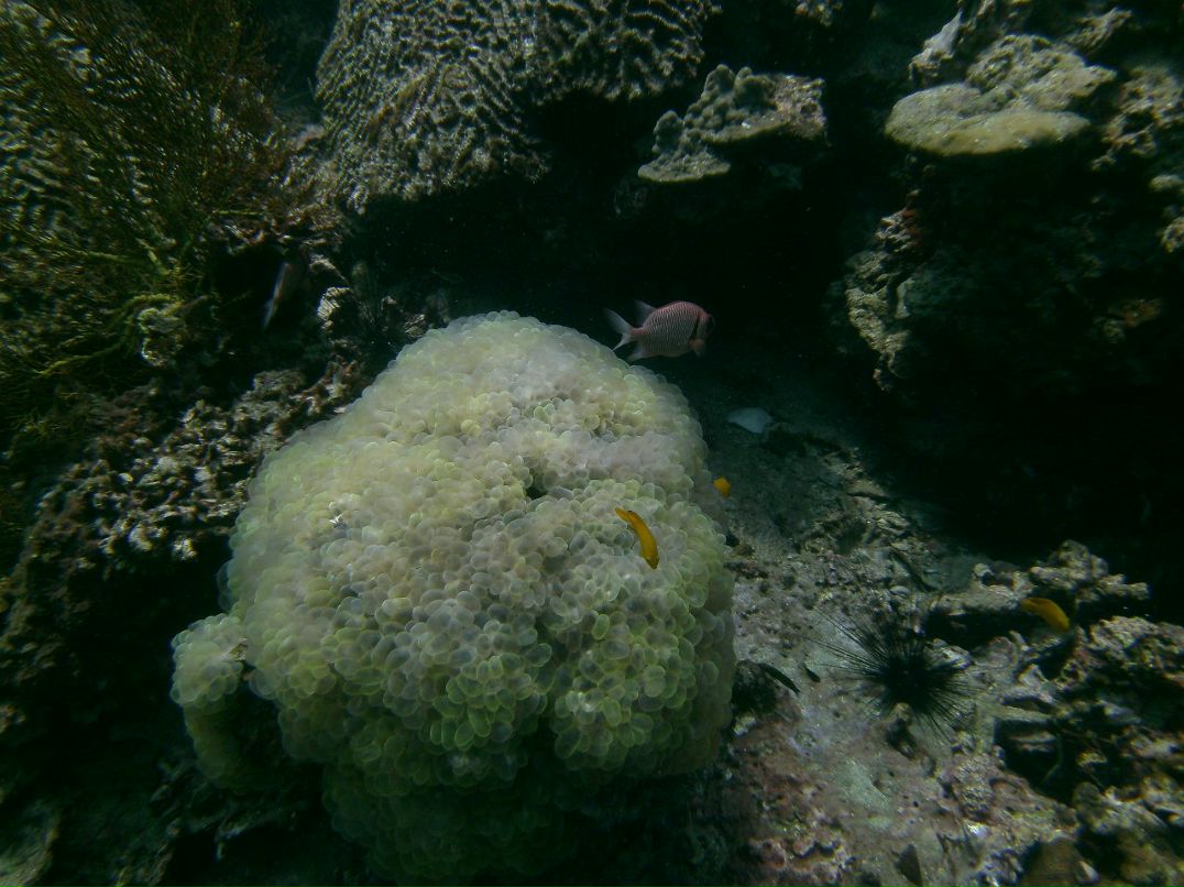 Марат Жандосов | Алматы