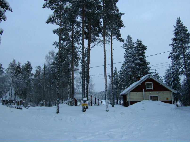 Алексей Алтухов | Воронеж