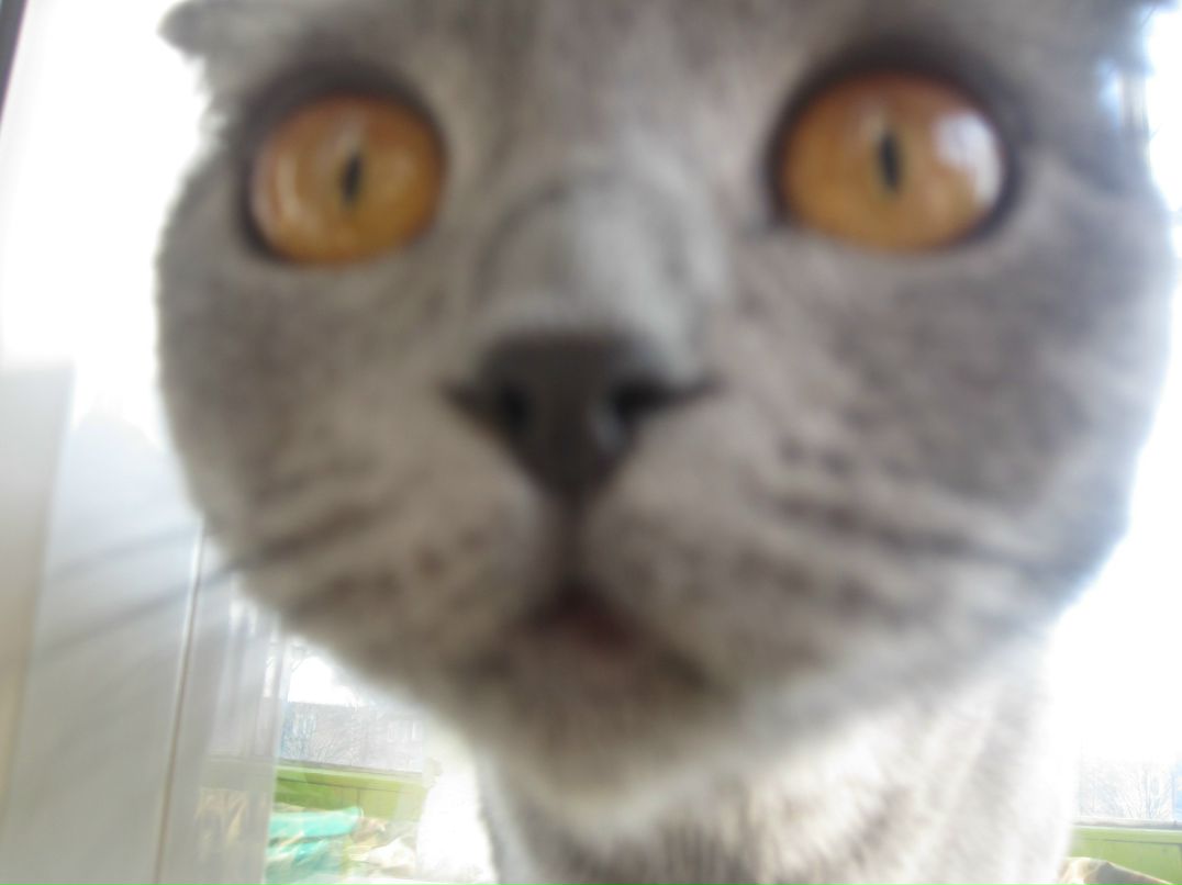 Евгений Романов | Санкт-Петербург