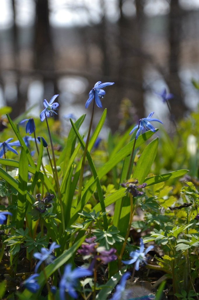 Яночка Филимонова | Воронеж