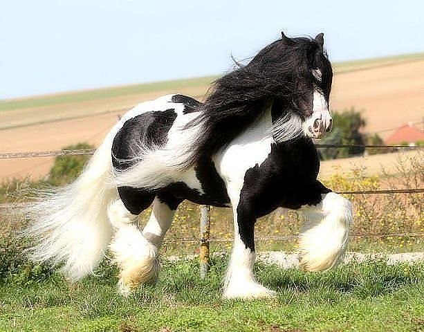 Али Угурчиев | Москва