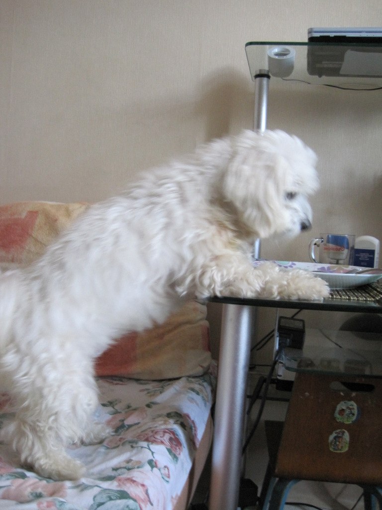 Svetlana Bats | Санкт-Петербург