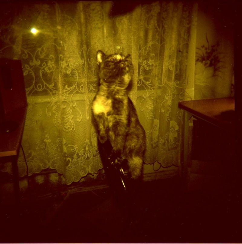 Дмитрий Иронов | Москва