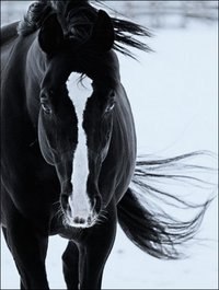 Kind Monster | Москва