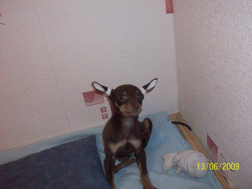 Екатерина Вяткина | Пермь