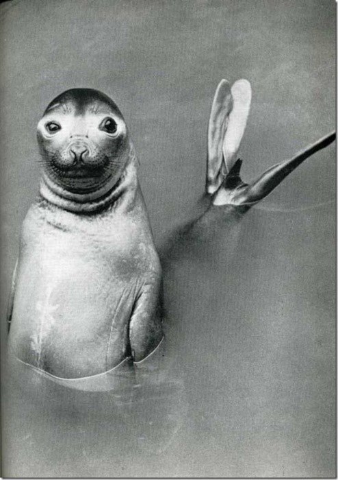 Виктория Мельчакова | Санкт-Петербург