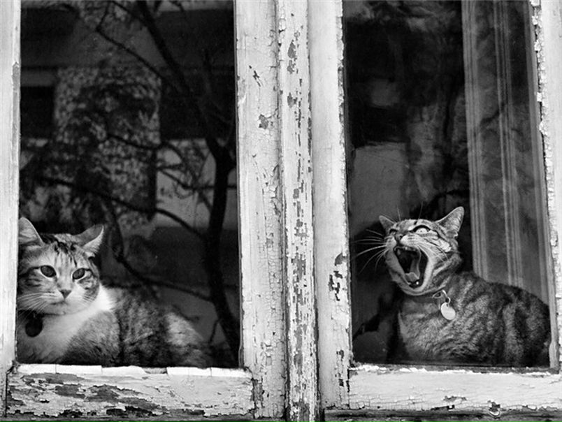 №33, Анастасия Ольховская, Dubai №33, Анастасия Ольховская, Dubai