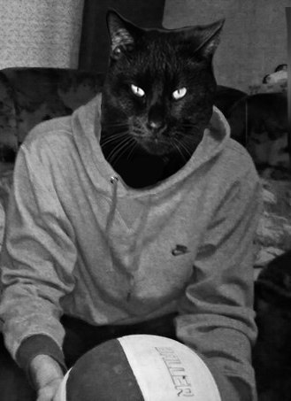 Александр Кучинский | Тула