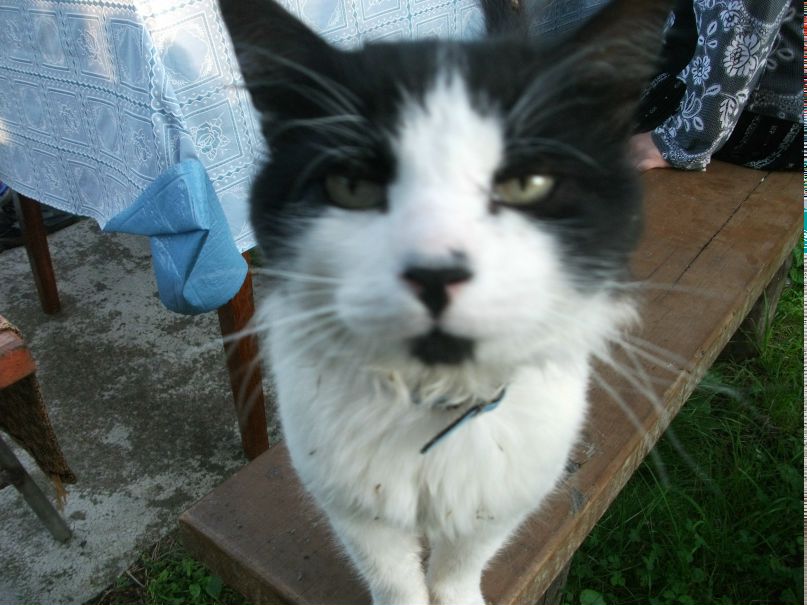 Максим Федотов | Приморск