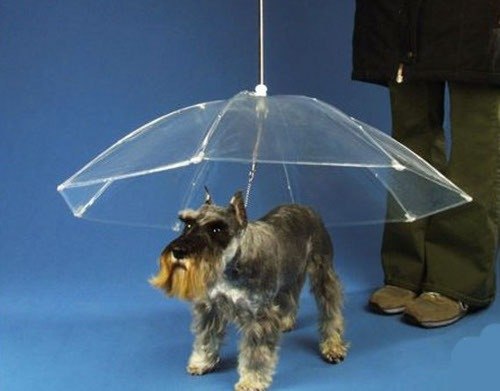 Paul Cook | Тернополь