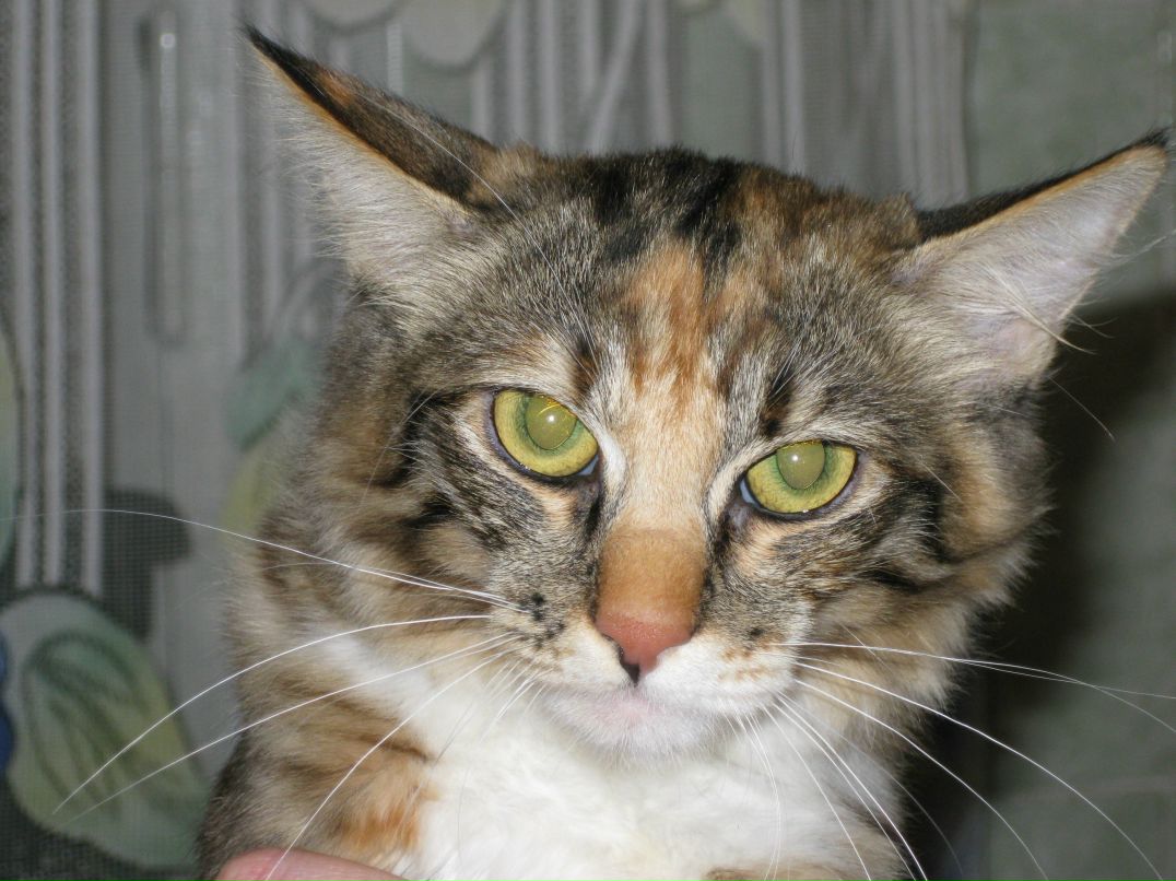 Сергей Воробьев | Воронеж