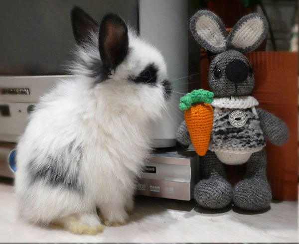 Серёжа Мозес | Санкт-Петербург