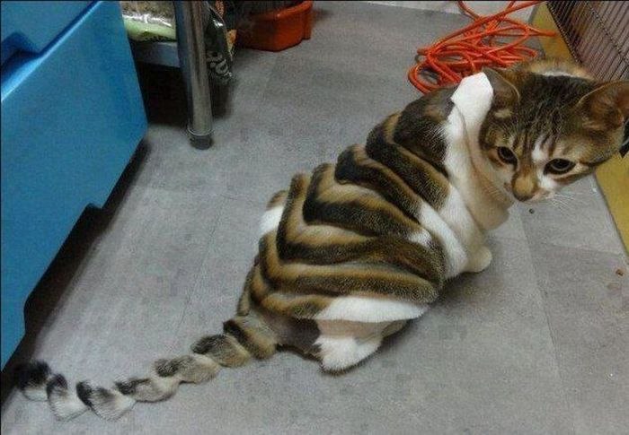 Марина Потуданская | Тольятти