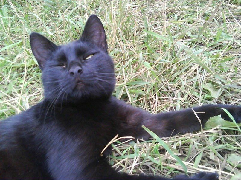 №44, Artem Vasyutkin №44, Artem Vasyutkin