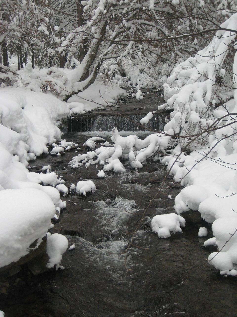 Віктор Русин viktorovuch | Берегово