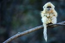 Фотография Бусыгиной Ирины