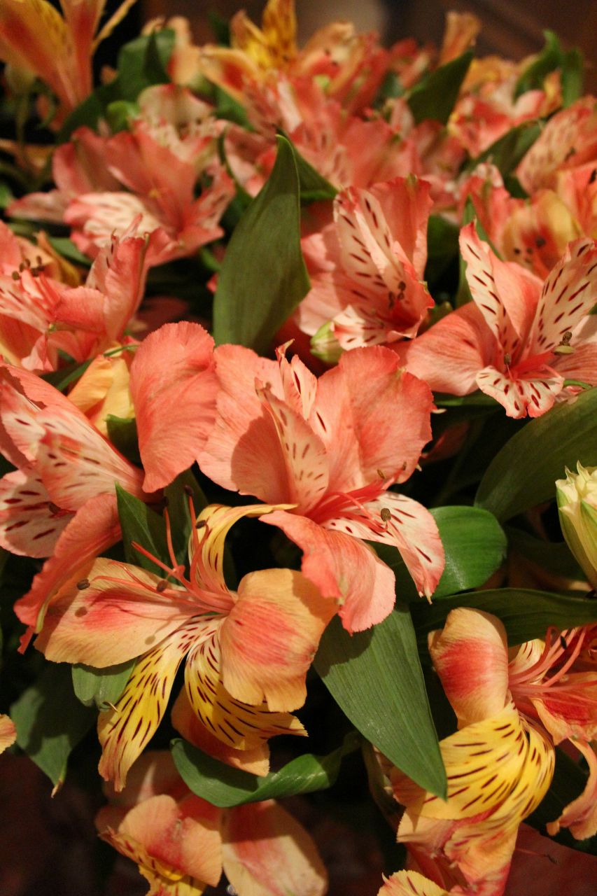 Анастасия Шлейкина | Москва