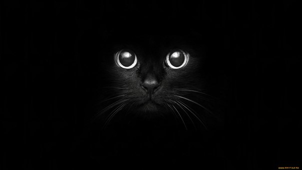Черные Обои На Телефон Бесплатно Черные Обои На Телефон Бесплатно
