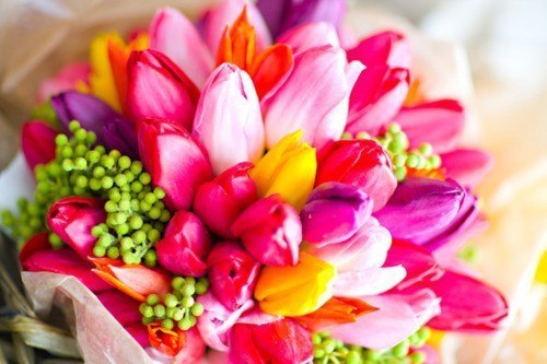 Анастасия Петрова | 