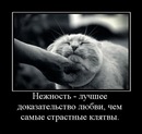 Фотография Поповой Наташи