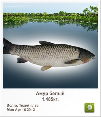 Иван Дунский | Липецк