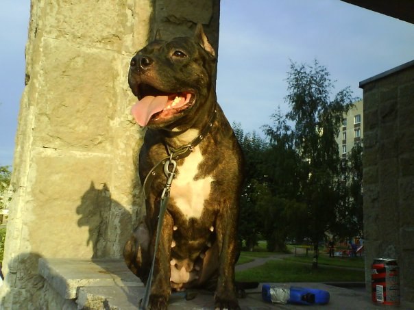 Валера Шибаев | Санкт-Петербург