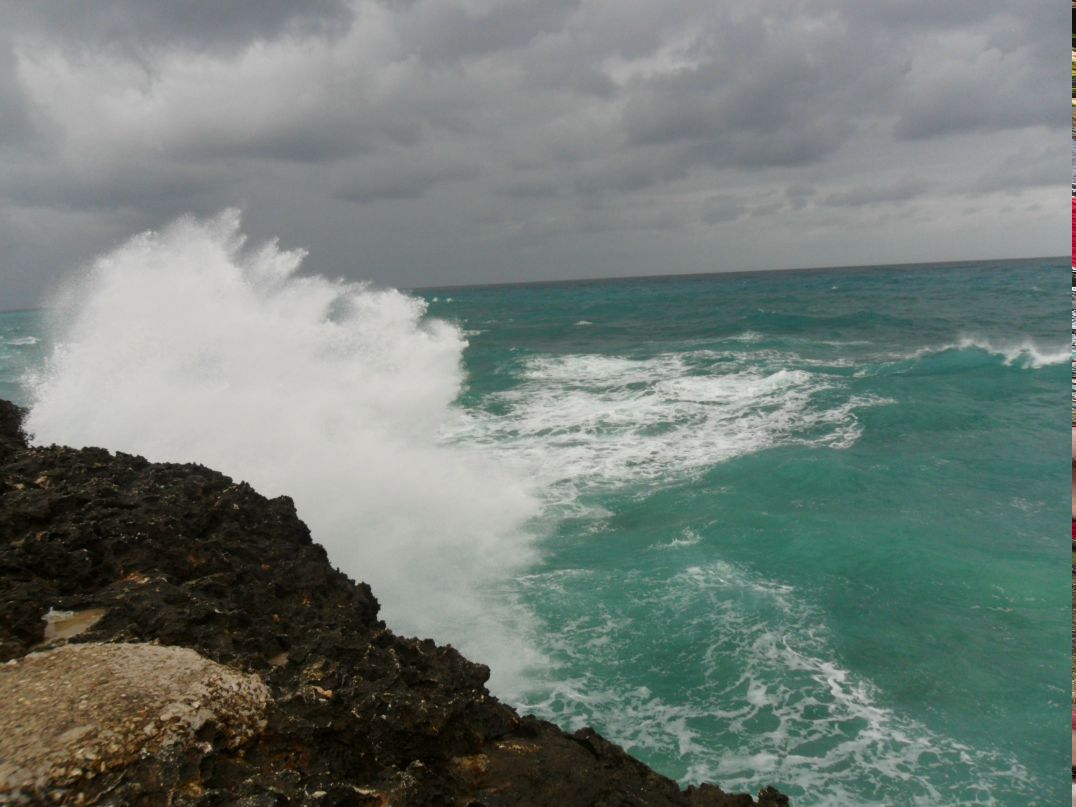 Mvelkova Елкова | 