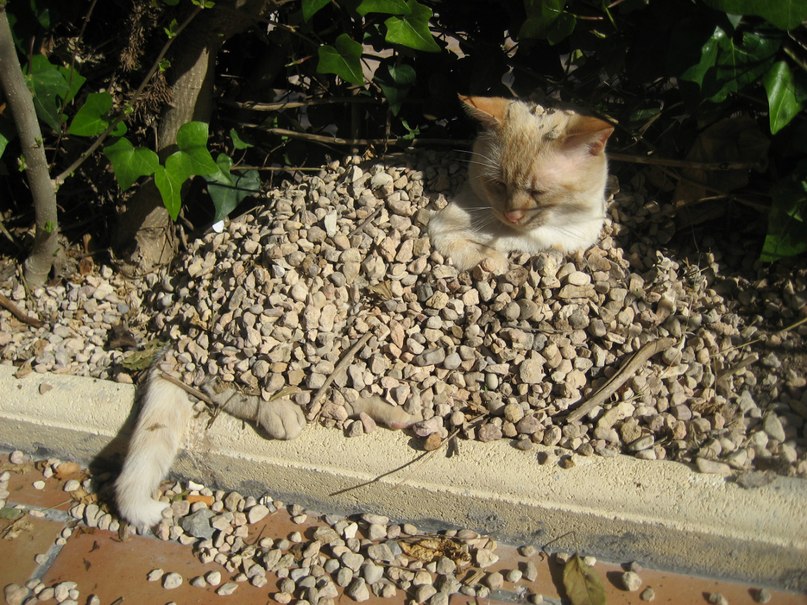 Ольга Егупова | l'Albir