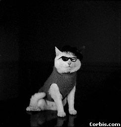 №20, Osama Ghanim, 38 лет, Frankfurt am Main №20, Osama Ghanim, 38 лет, Frankfurt am Main