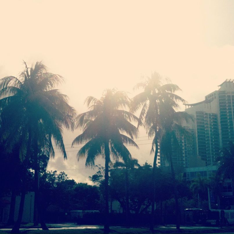 Peca Pecov | Непецино (село)