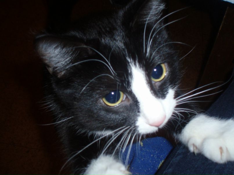 Алина Малашенкова | Таллин