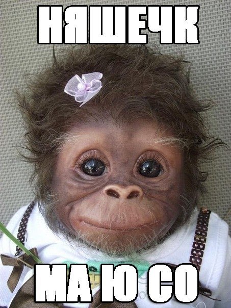 Али Угурчиев | Москва