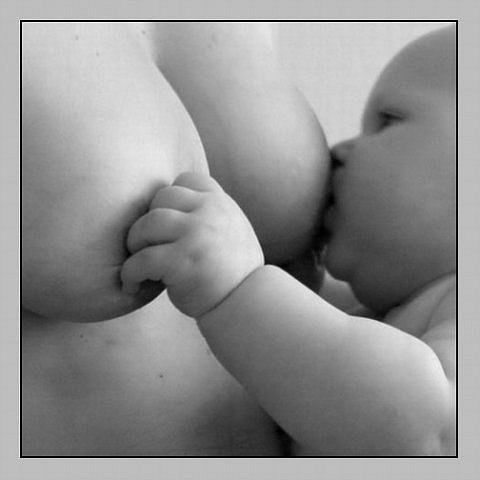 Олег Коптяев | Череповец