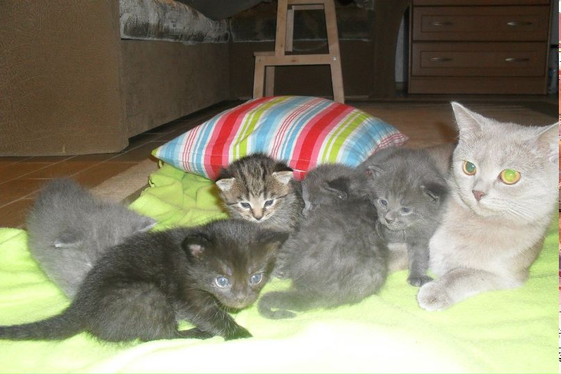 Светлана Турчинович | Костомукша