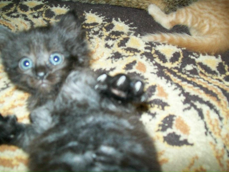 Гульнара Галиева | Уфа