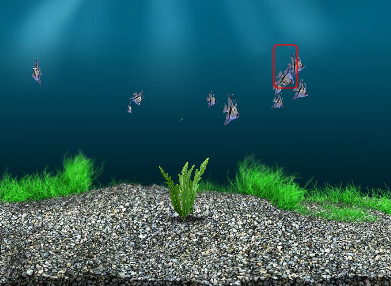 Олеся Фомина | Москва