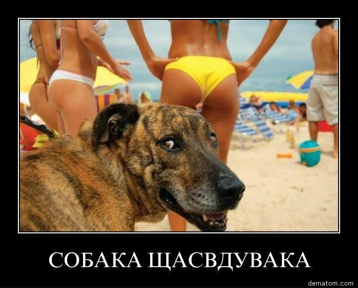 №121, Алексей Верютин, 34 года, Ростов-на-Дону, Россия №121, Алексей Верютин, 34 года, Ростов-на-Дону, Россия