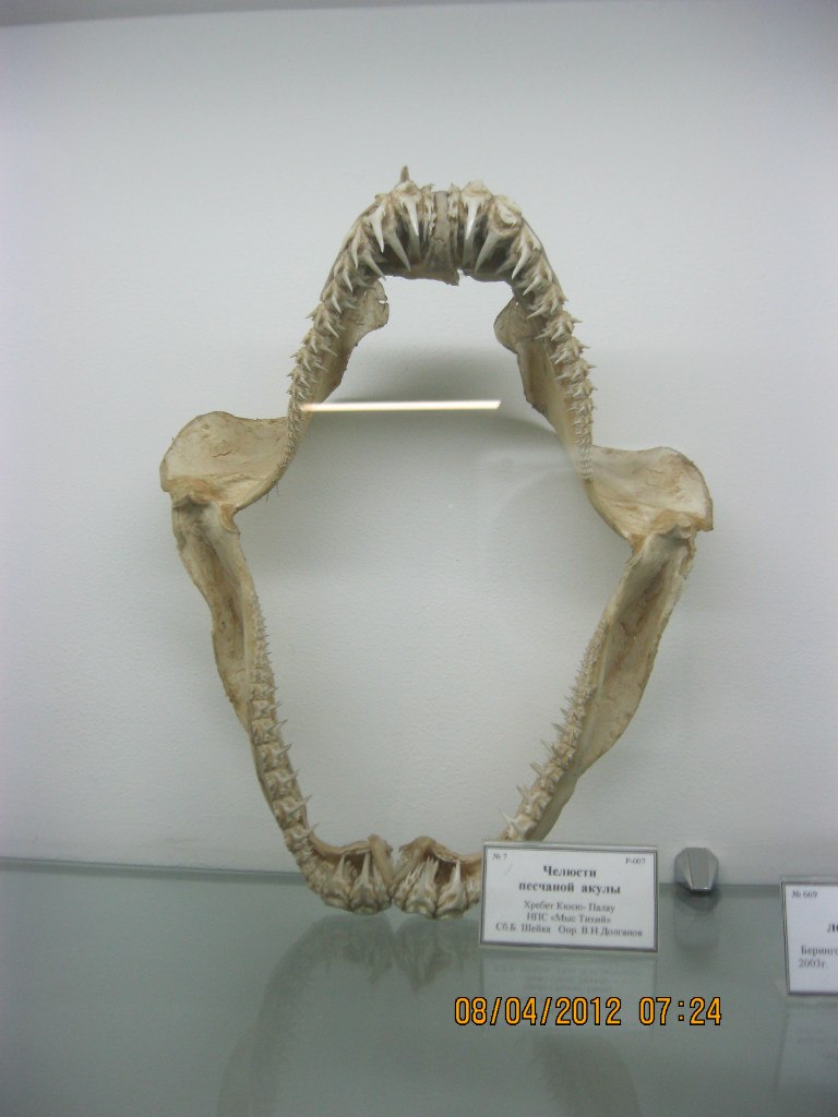 Илья Балобин | Воронеж