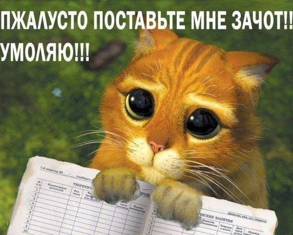 №68, Альбина Ищенко, 33 года, Мирноград / Димитров №68, Альбина Ищенко, 33 года, Мирноград / Димитров